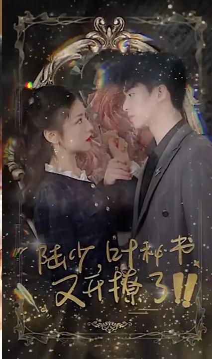 陆少，叶秘书又开撩了！全集