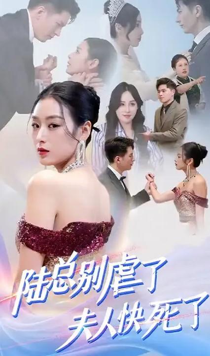 陆总别虐了，夫人快死了！全集