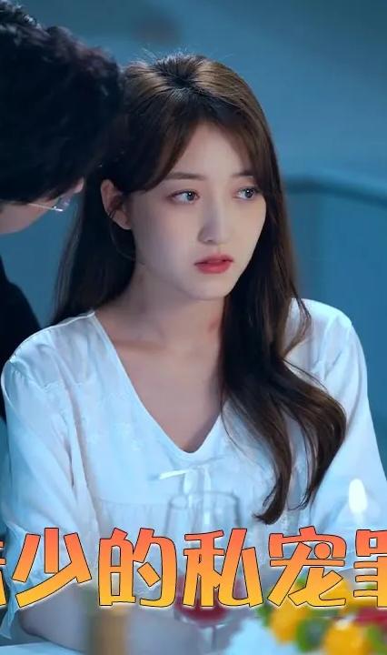 陆少的私宠罪妻全集