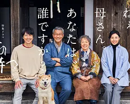 有母亲等待的故乡全集