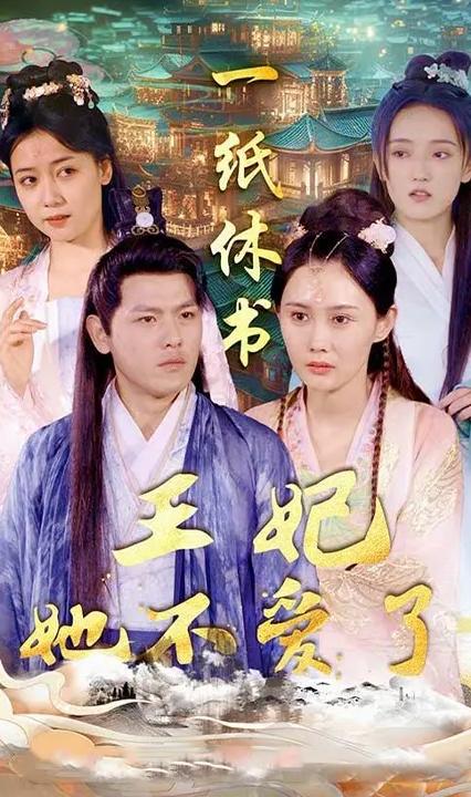 一纸休书，王妃他不爱了全集