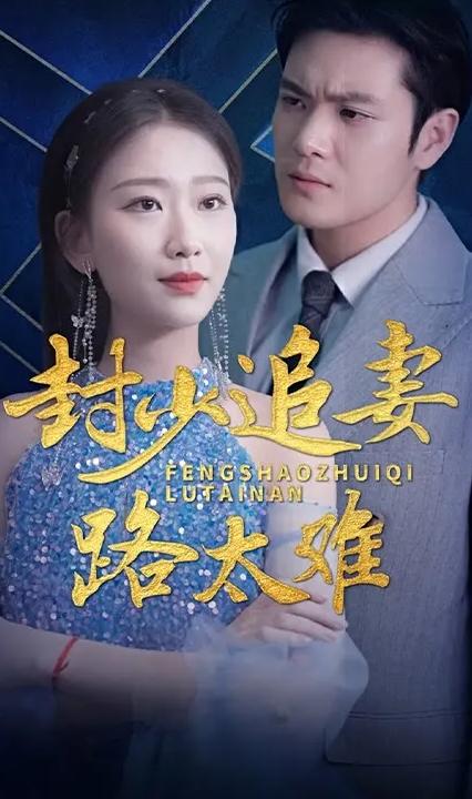 封少追妻路太难全集